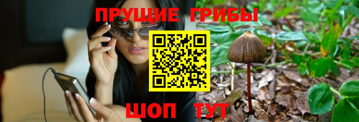 Галлюциногенные грибы мухоморы Красный Сулин